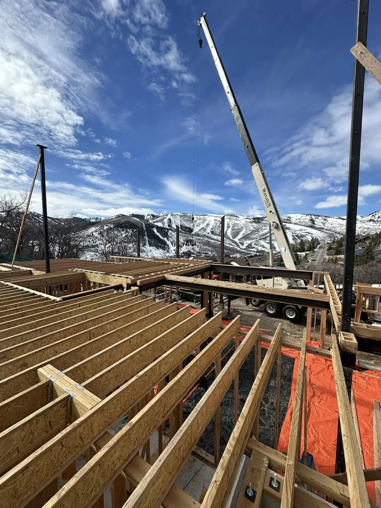 Construction site with crane and snowy mountains.