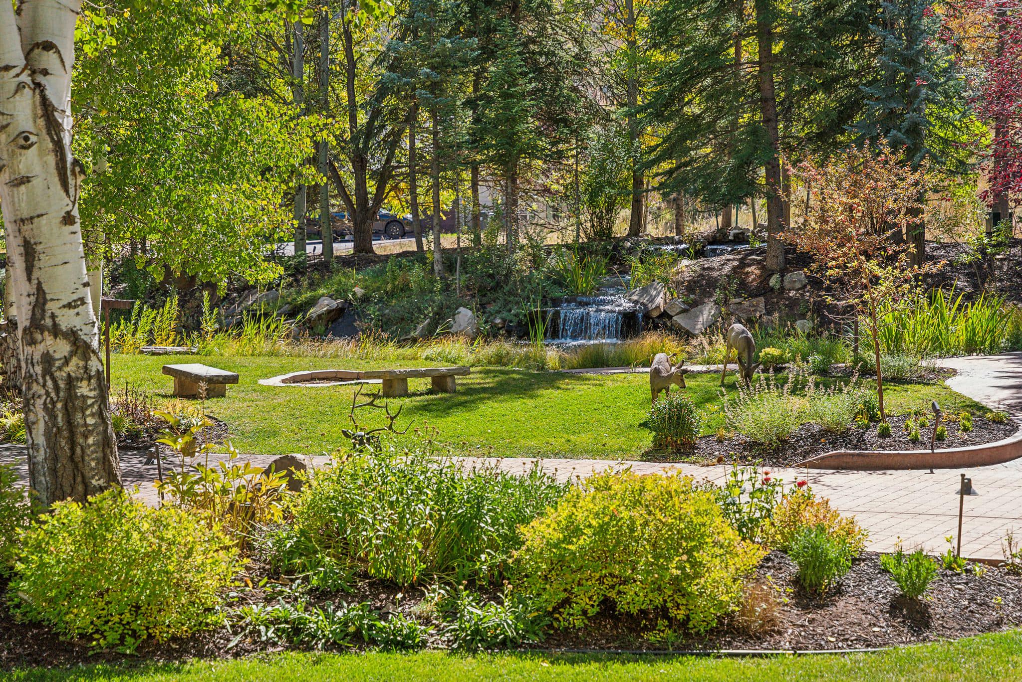A park with benches and trees in the background.